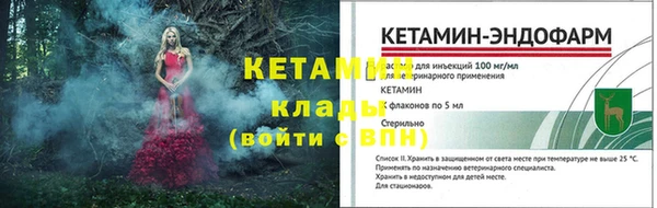 гидра Каменногорск