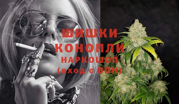 гидра Каменногорск