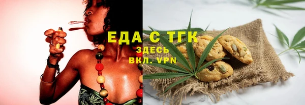 гидра Каменногорск