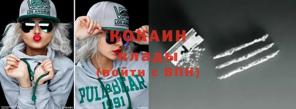 гидра Каменногорск