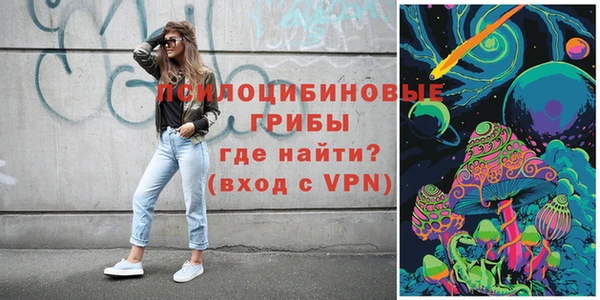 прущие крисы Каменка