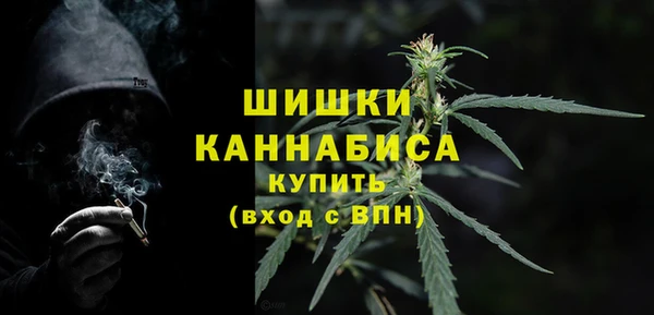 гидра Каменногорск