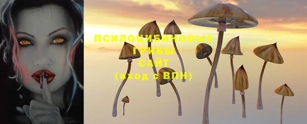 гидра Каменногорск