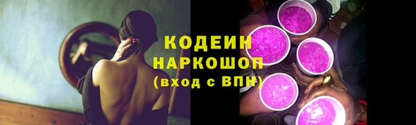 гидра Каменногорск