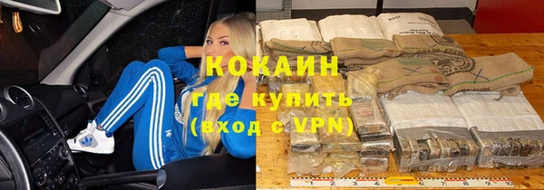 гидра Каменногорск