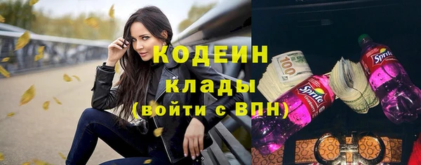 прущие крисы Каменка