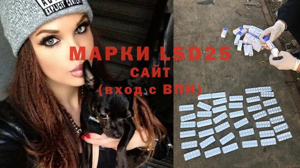 прущие крисы Каменка