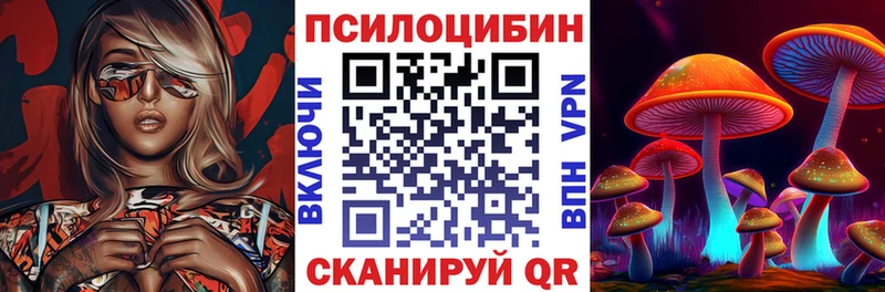 Купить где Вяземский Псилоцибиновые грибы прущие грибы